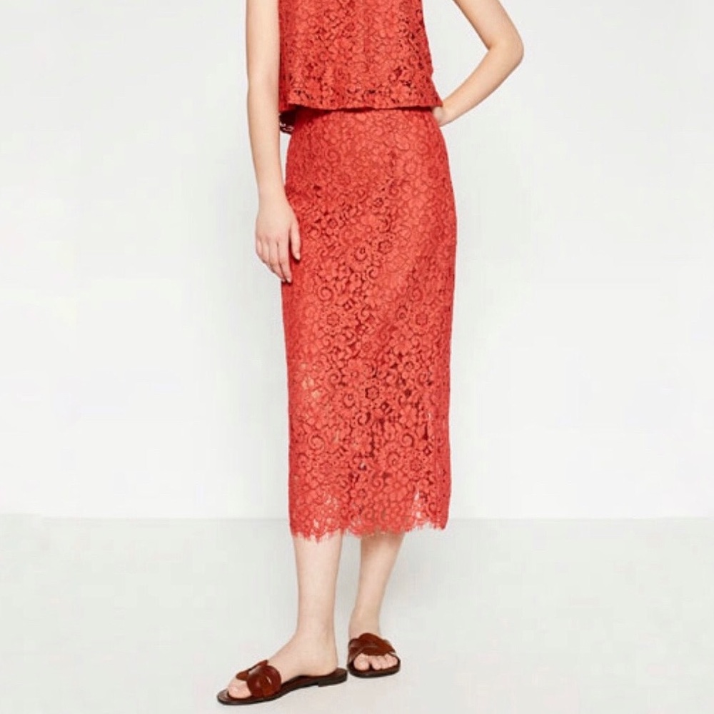 ZARA Pencil Midi Skirt Guipure Lace with Liner